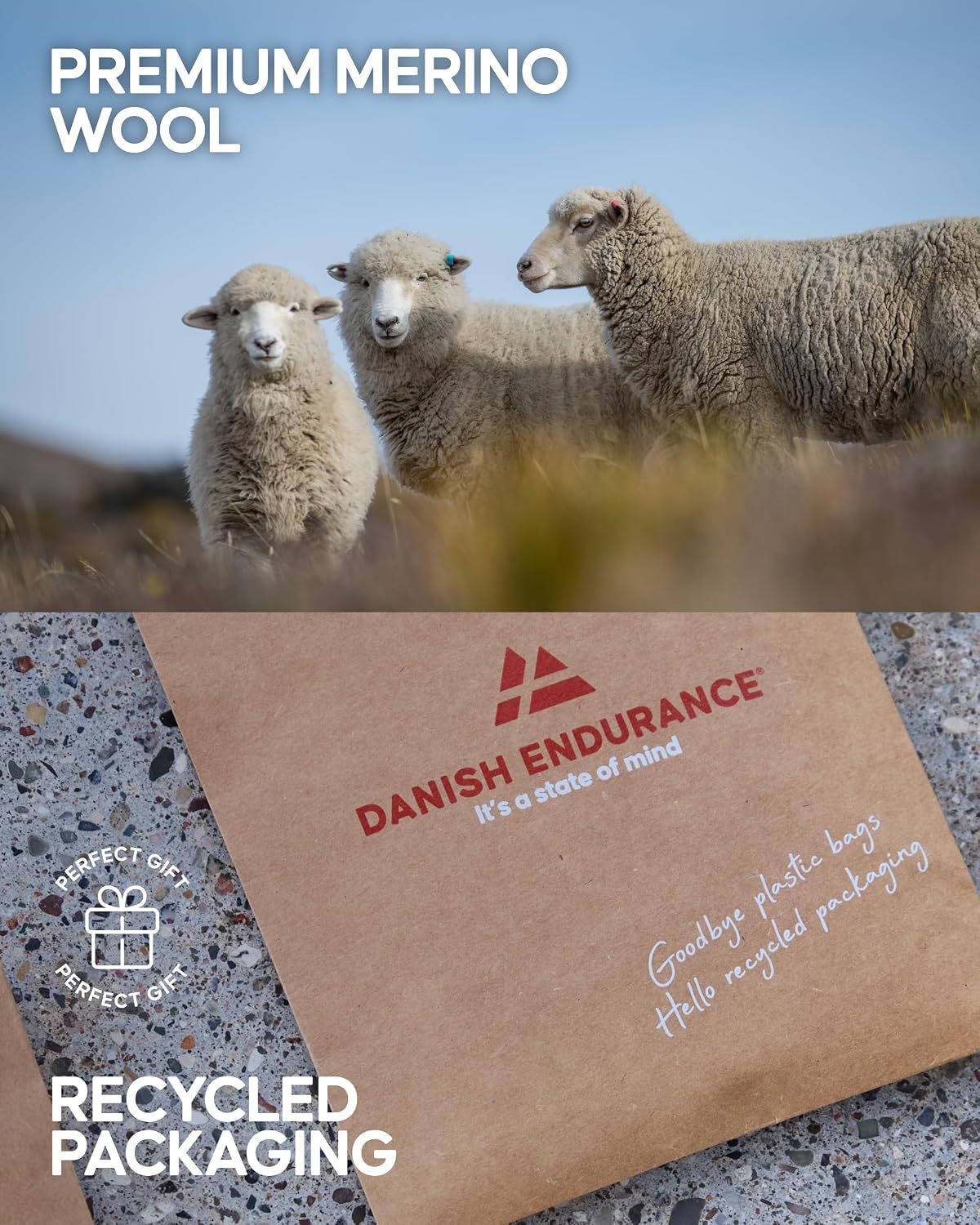 Danish Endurance recycled paper packaging shown below merino sheep in a field